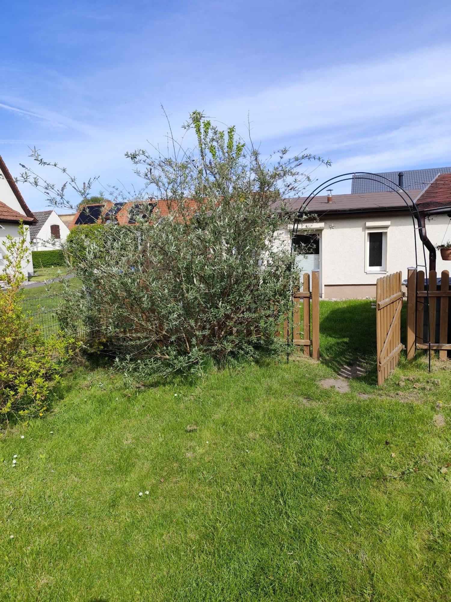 Apartment Sonnengarten